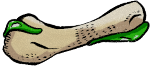 Ugly Bone 1