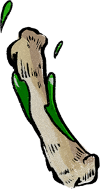 Ugly Bone 2